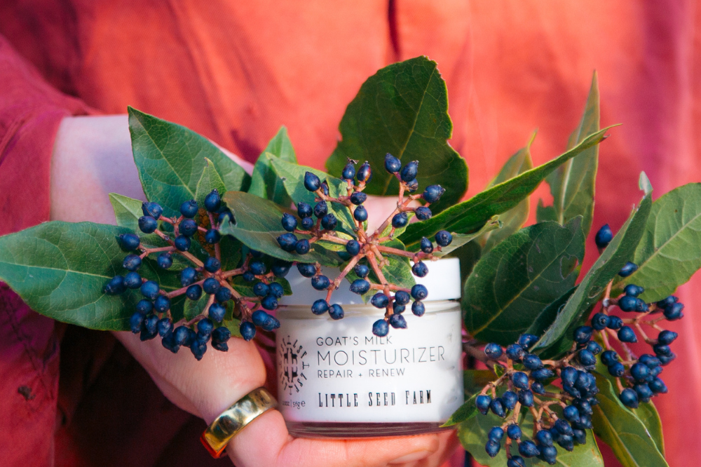 Holistic Fall Wellness Guide: From Skincare to Self-Care