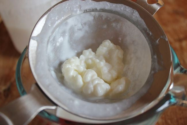 A New Homebrew - Raw Goat's Milk Kefir