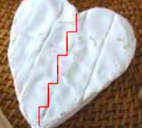 Cows and Electric Polywire