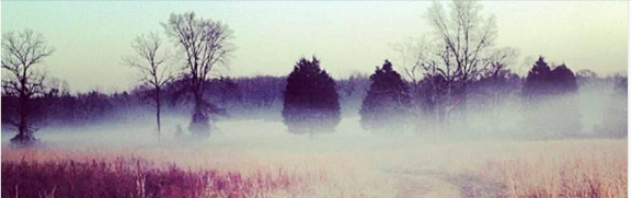 The Benefit of Broomsedge