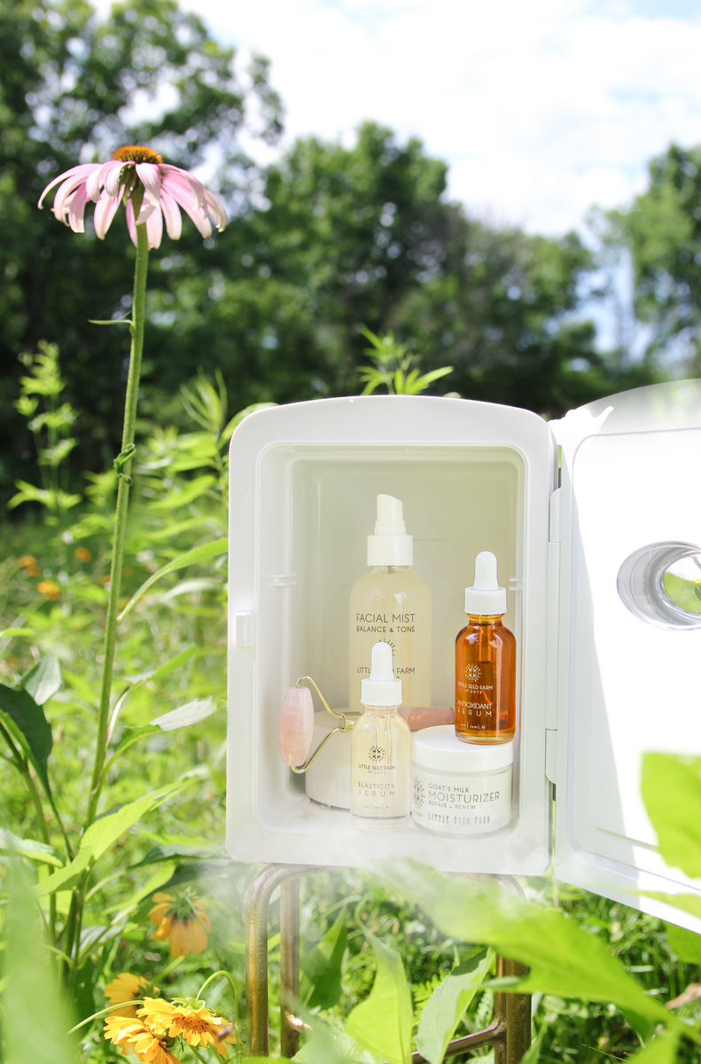 Skincare on Ice Little Seed Farm
