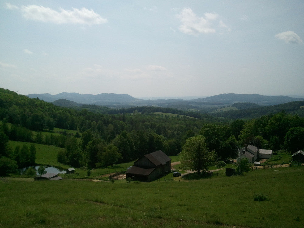 Farm Hopping: Our Visit to Lewis Waite Farm