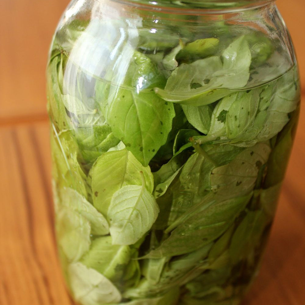 Liquore al Basilico - Homemade Basil Moonshine
