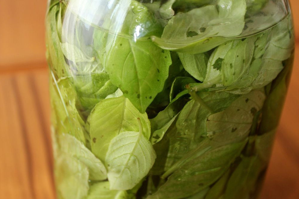 Liquore al Basilico - Homemade Basil Moonshine
