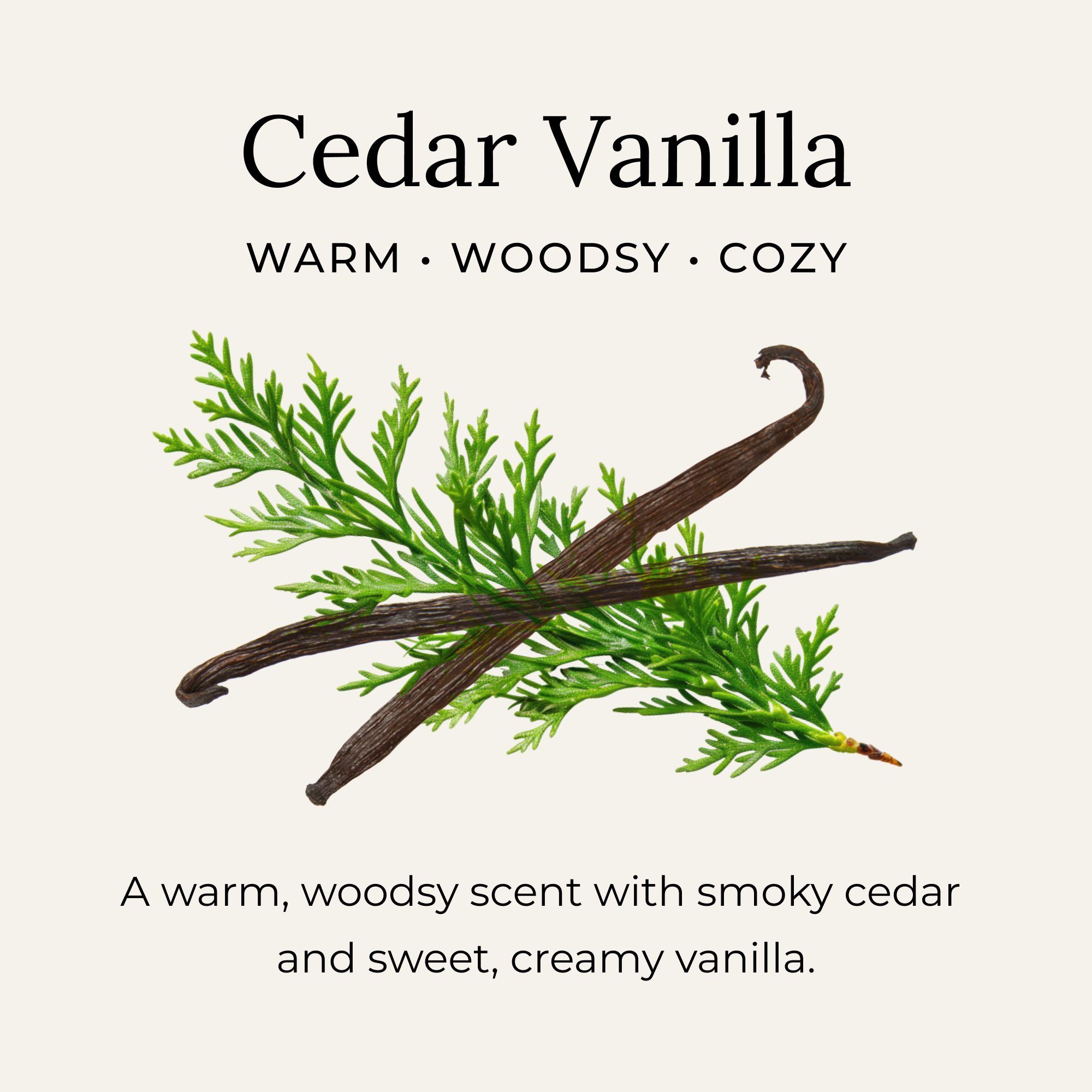 Cedar vanilla scent description with warm, woodsy, cozy notes with smoky cedar and sweet vanilla