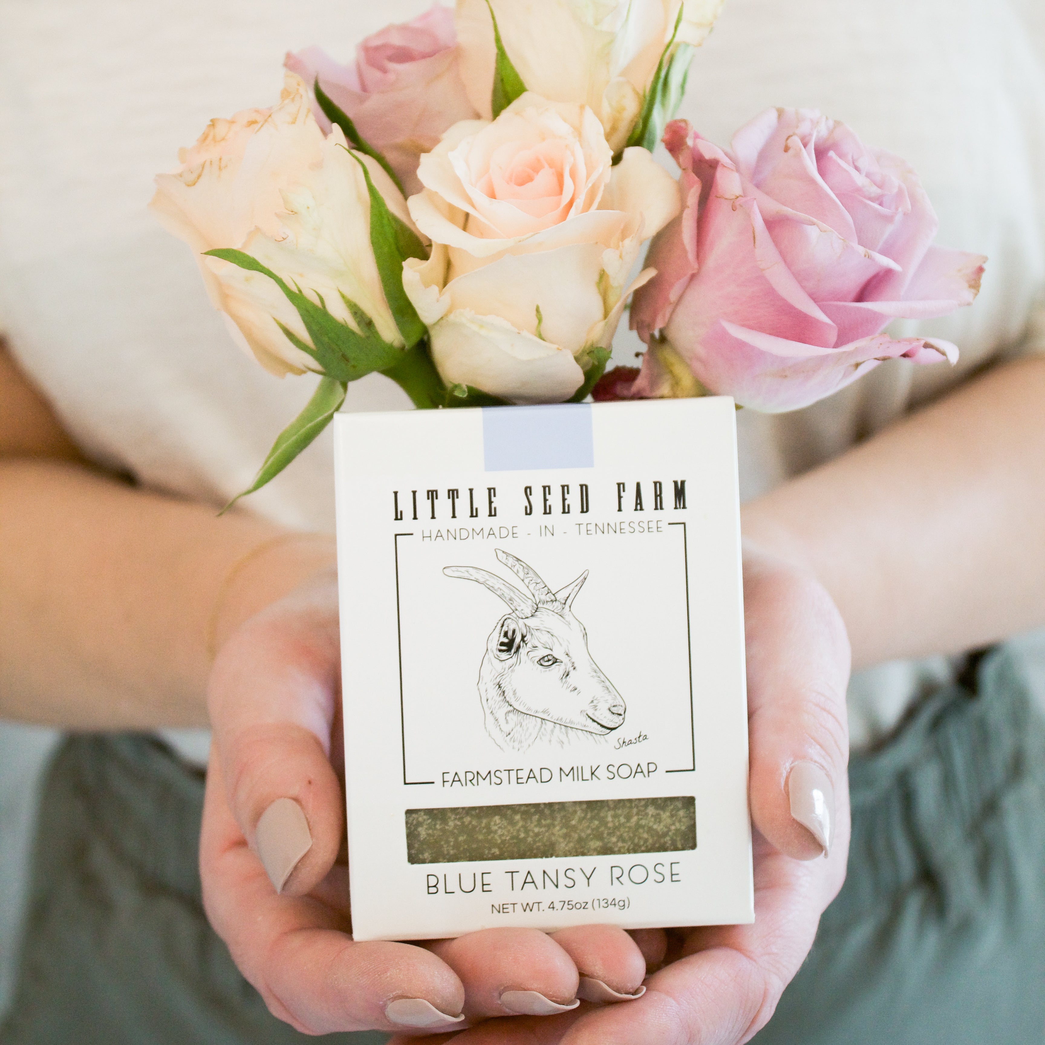 Pair of hands holding a Blue Tansy Rose goat milk soap bar surrounded by fresh roses, highlighting Little Seed Farm’s natural, soothing skincare made with blue tansy and rose essential oils.