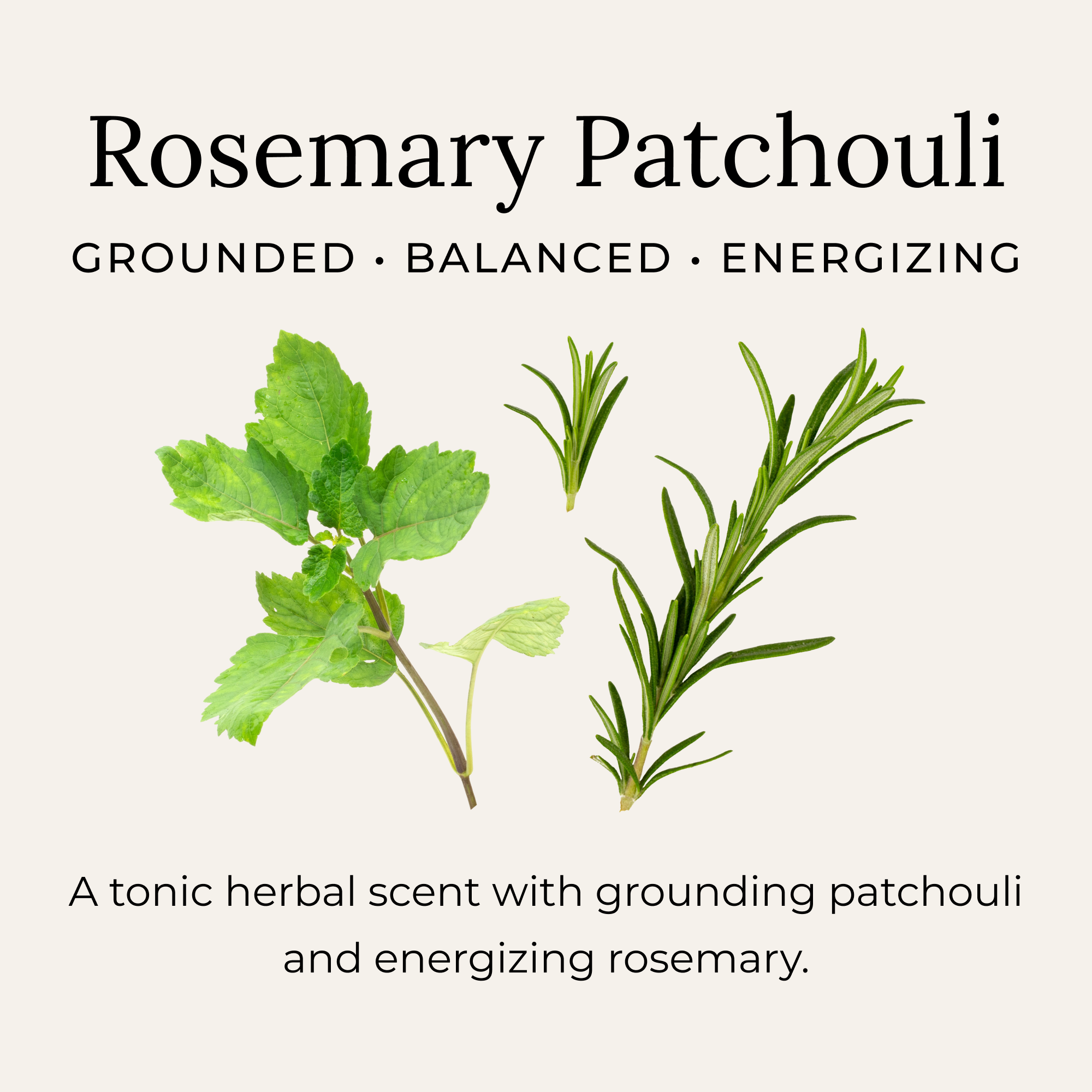 Rosemary patchouli scent description of tonic herbal tones with grounding patchouli and energizing rosemary