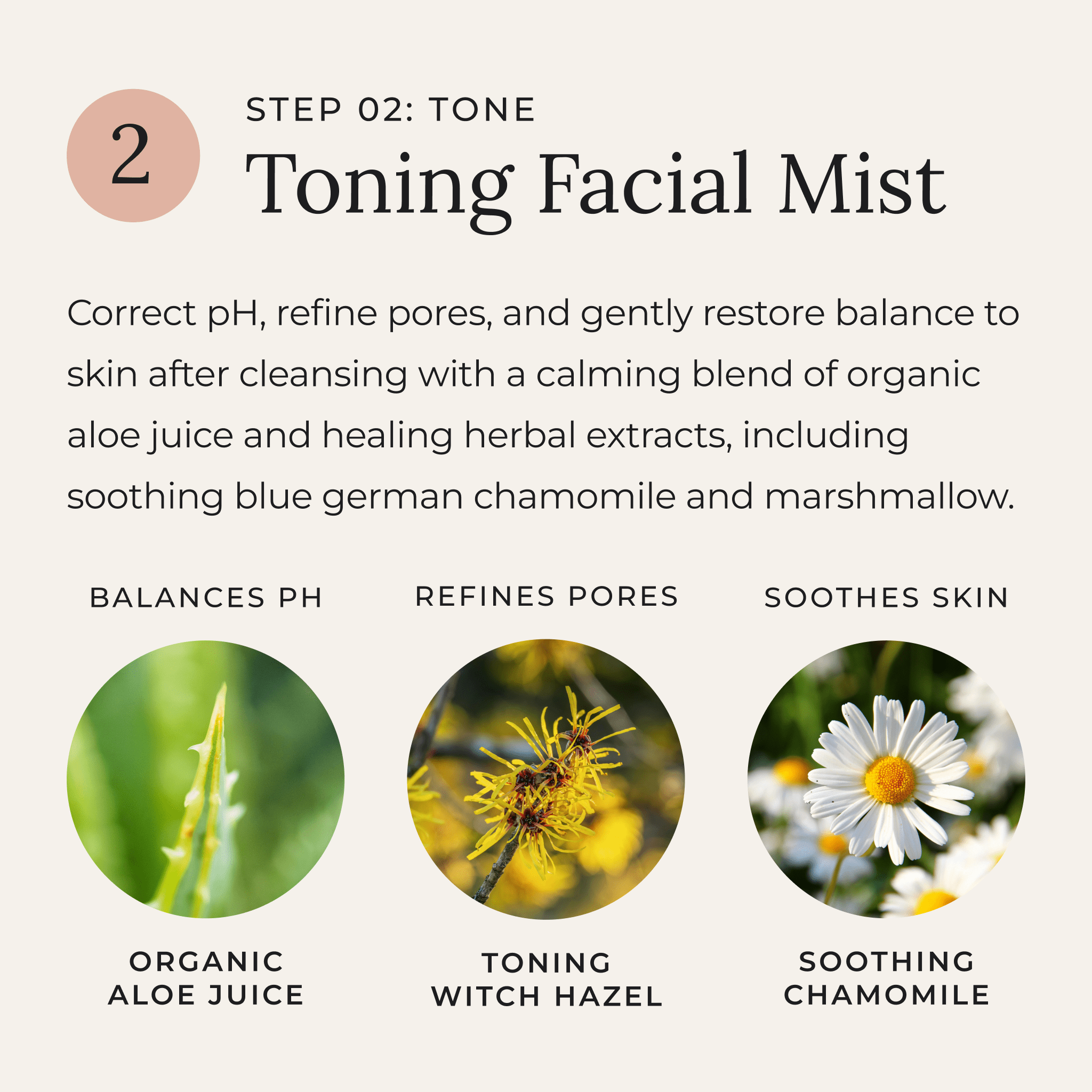 Step 2: Tone with Toning Facial Mist — a gentle, balancing mist made with organic aloe juice, toning witch hazel, and soothing chamomile to calm skin, refine pores, and restore natural pH after cleansing. Featured ingredients include close-up images of aloe, witch hazel flowers, and chamomile blossoms.