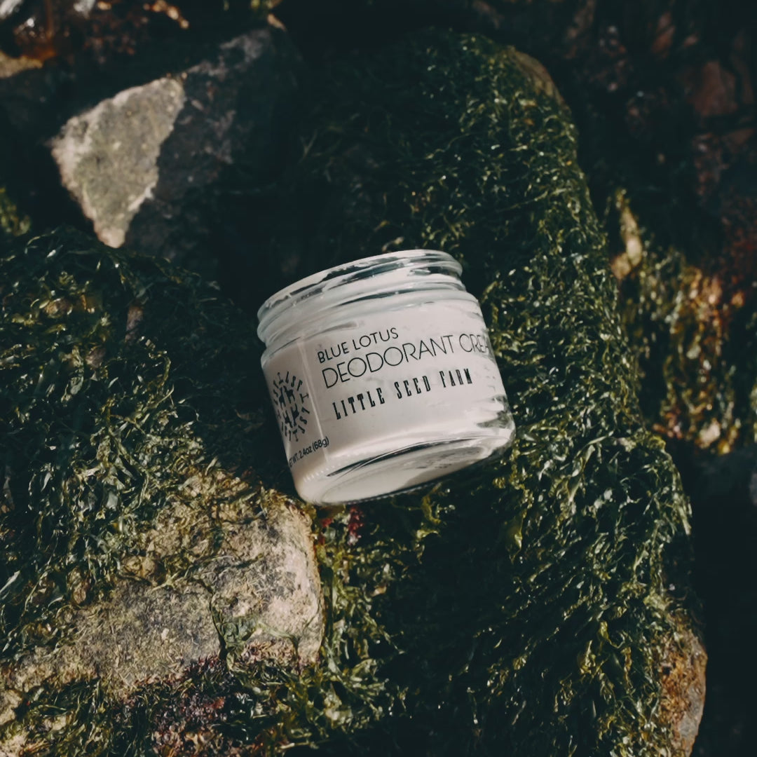 Close-up of Blue Lotus Deodorant Cream texture, showing smooth, creamy formula infused with activated charcoal and botanicals