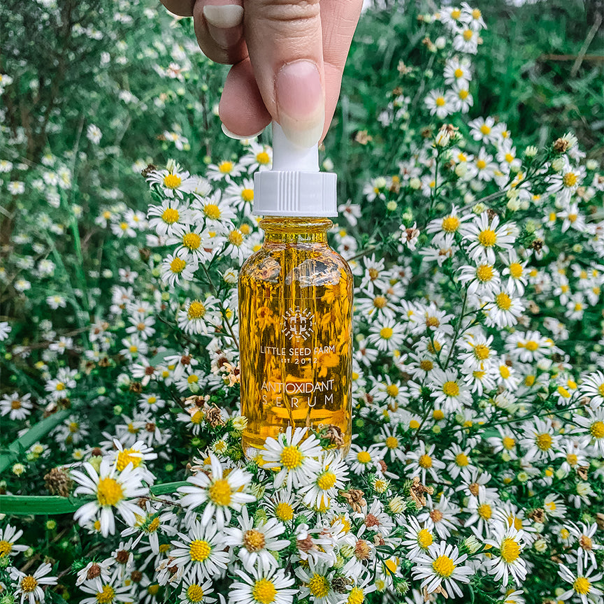 Antioxidant Serum by Little Seed Farm formulated with Coenzyme Q10, rosehip, sea buckthorn, raspberry seed, calendula and vitamin E to nourish, protect against blue light and pollution, and improve skin tone