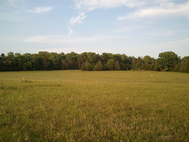 Livestock Guardian Team Assembled