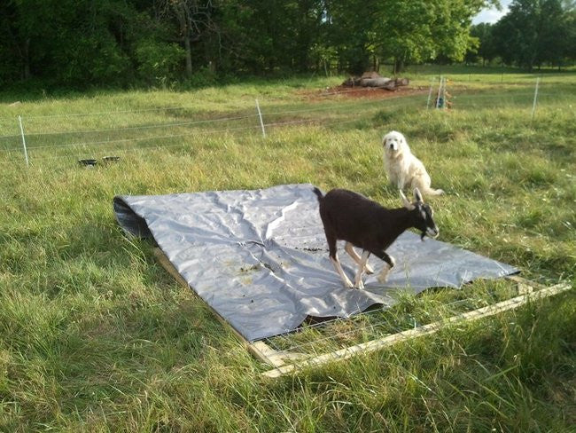 Portable Goat Shelter and Shade Shack: Attempt #1