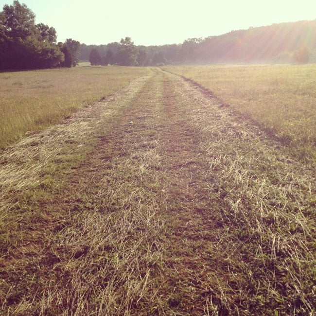 Makin' Hay