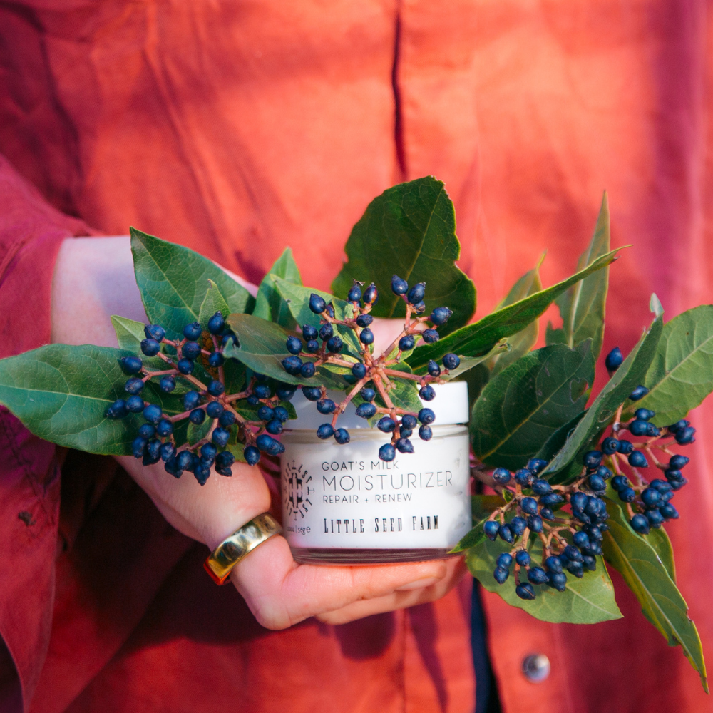 Holistic Fall Wellness Guide: From Skincare to Self-Care