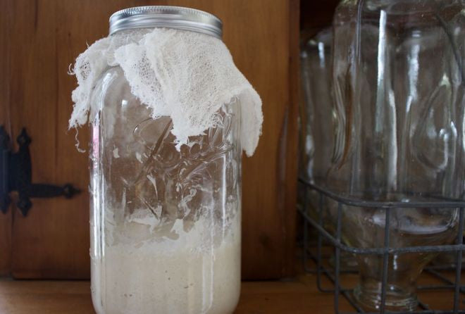 Homemade Sourdough Starter - Capturing Wild Yeasties