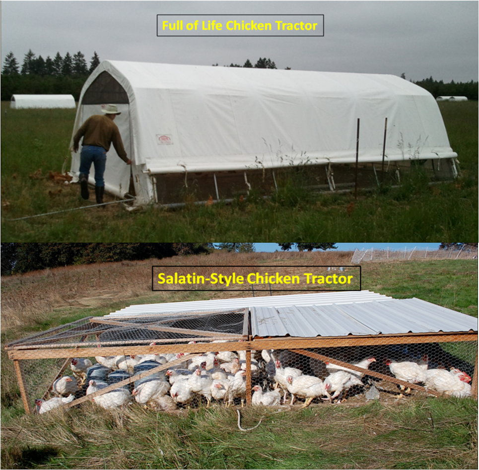 Farm Hopping - Chicken Tractor Comparison at Full of Life Farm