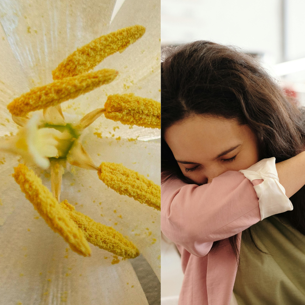 Natural Tips for Allergy Season (That Actually Help)