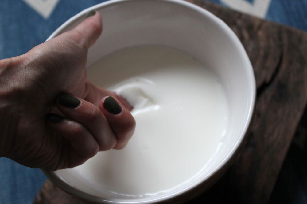 Primosale - Easy Fresh Cheese To Make At Home