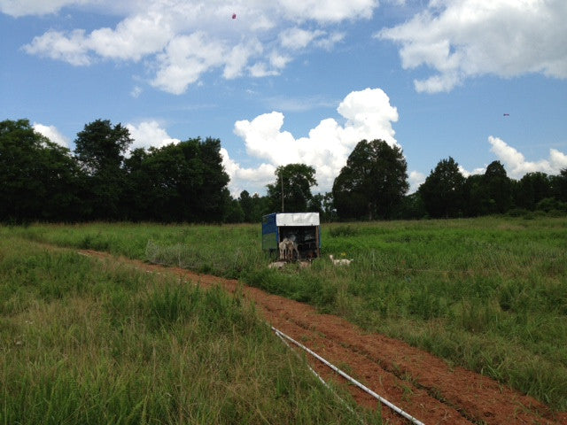 EQIP Grant for Water Lines & Rotational Grazing