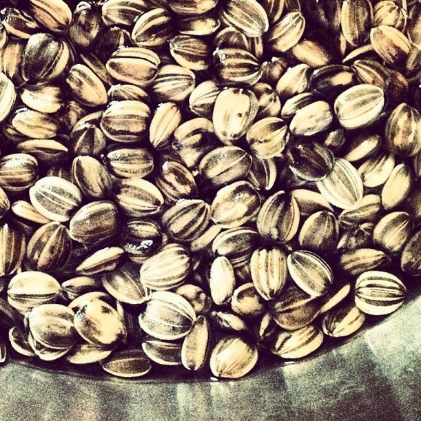 Home Roasted Sunflower Seeds