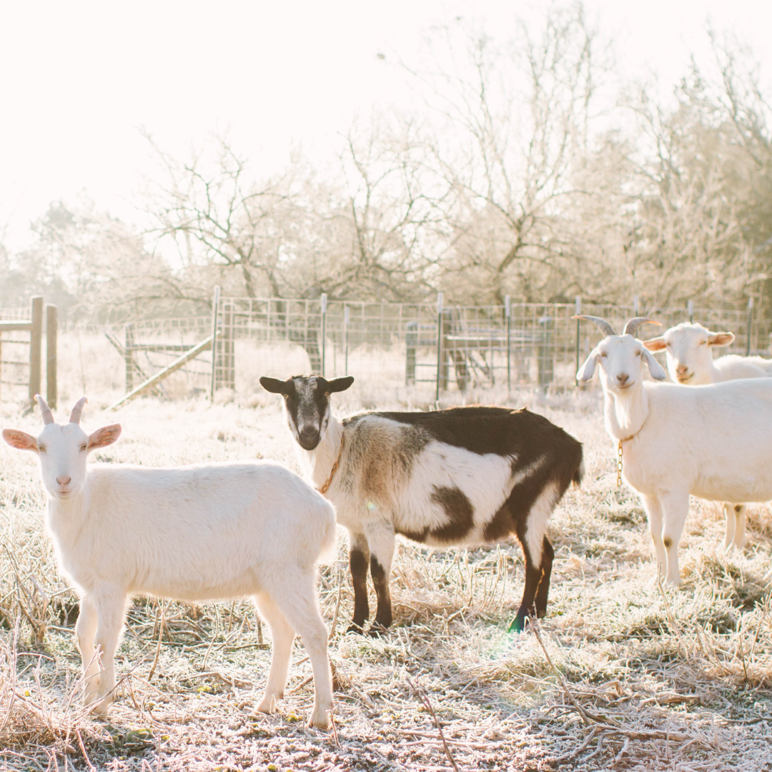 Mind & Body Benefits of Spending Time Outside During Winter