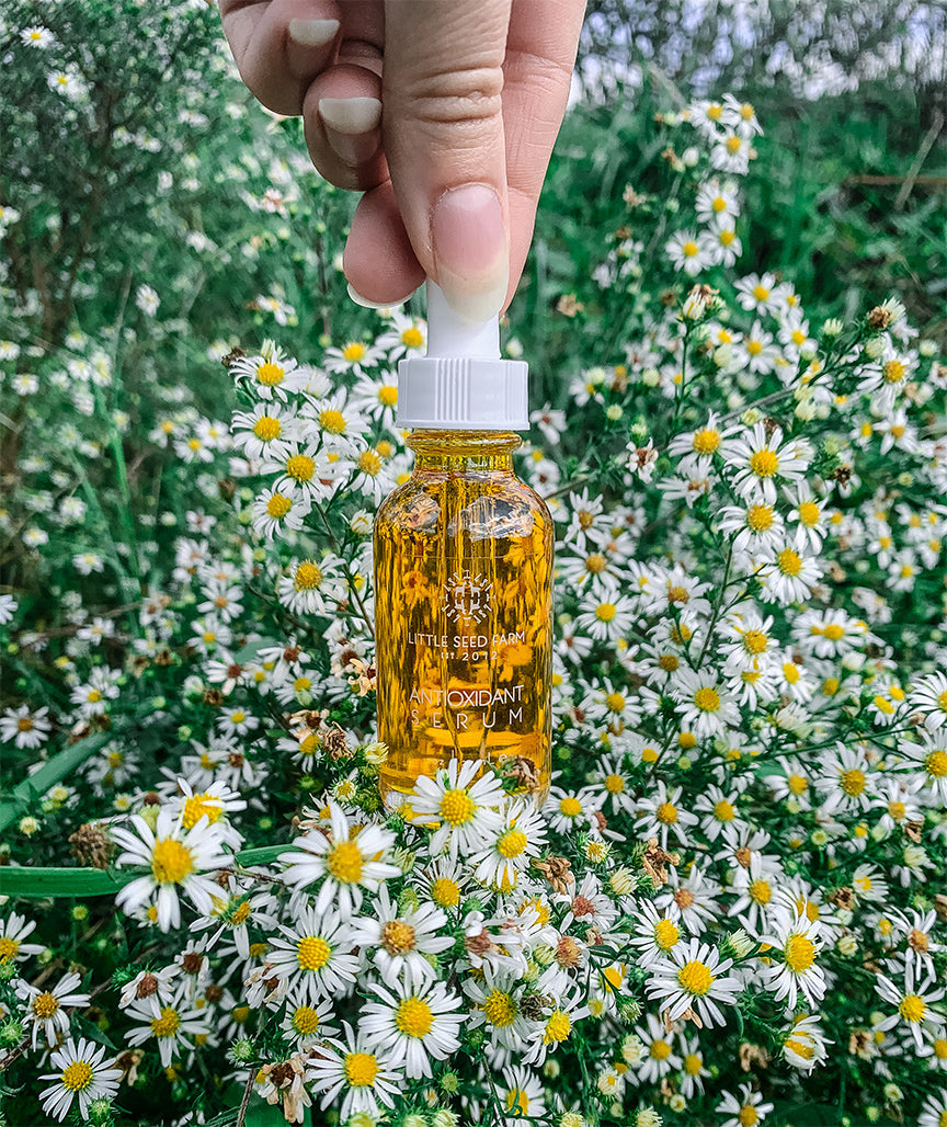 Refilled Antioxidant Serum