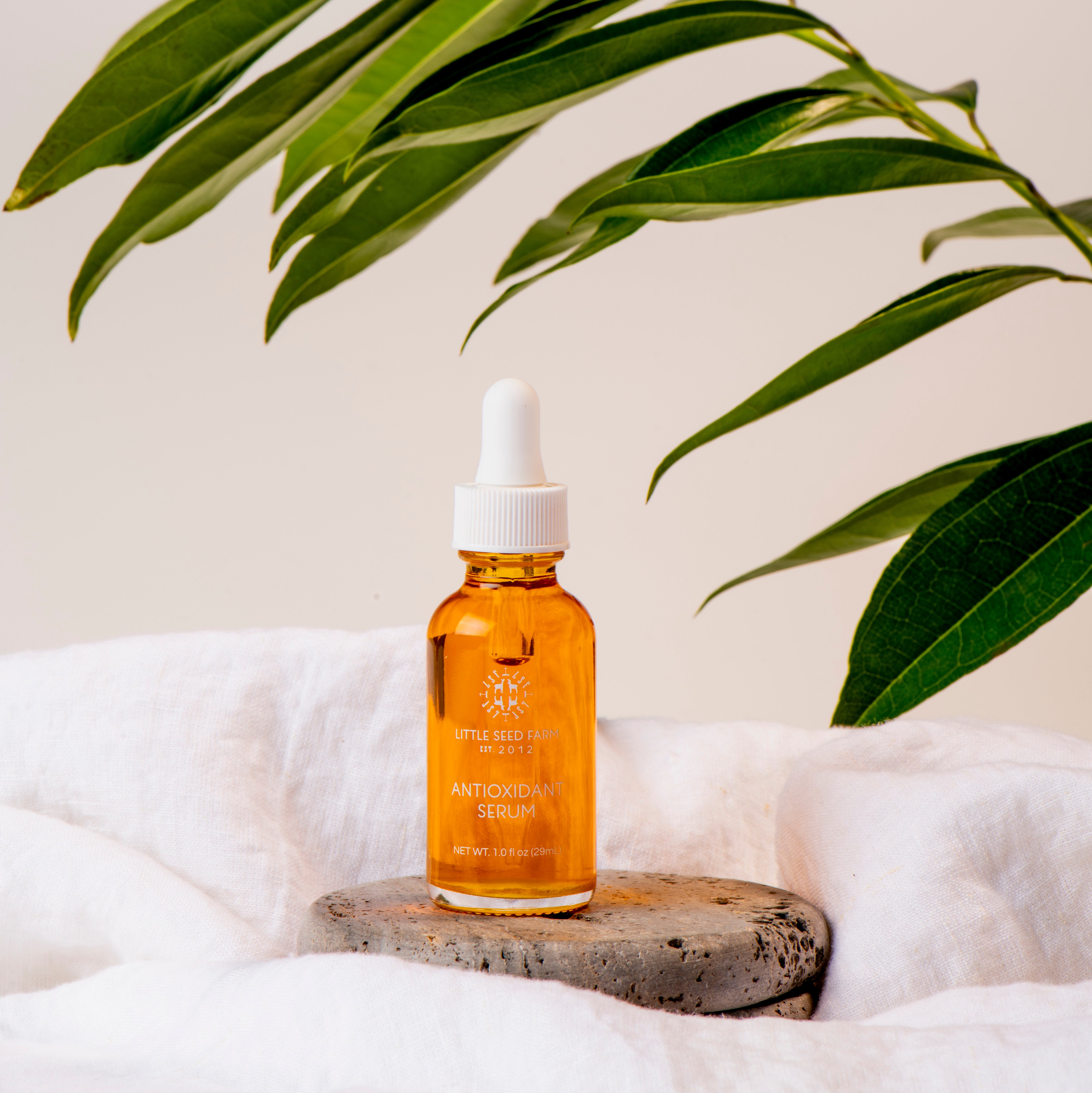 Antioxidant Serum – Little Seed Farm
